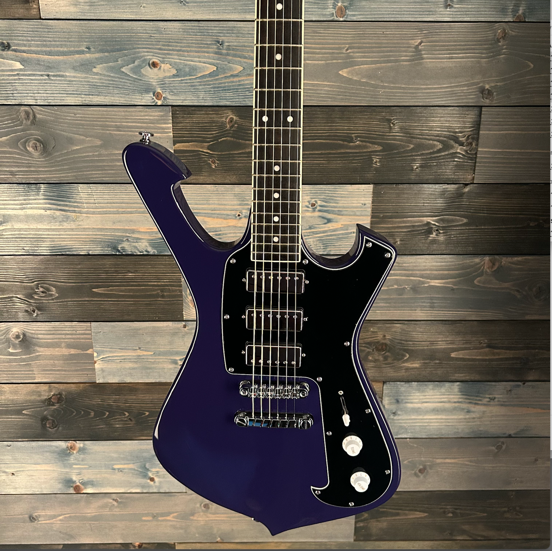 Ibanez FRM300 Paul Gilbert Signature Electric Guitar - Purple