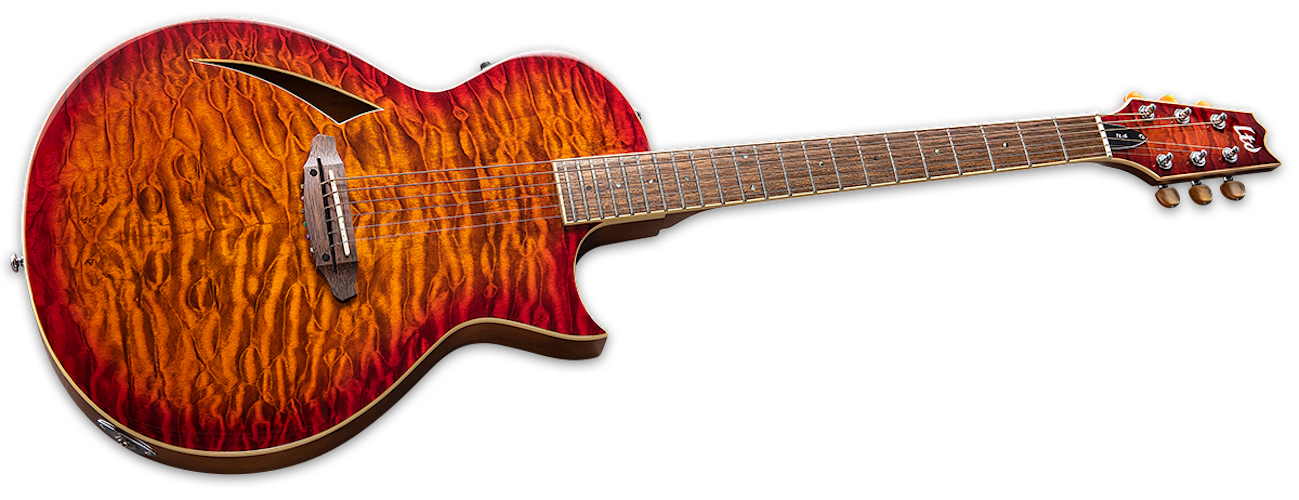 ESP LTD TL-6 Electric Guitar - Tiger Eye Burst